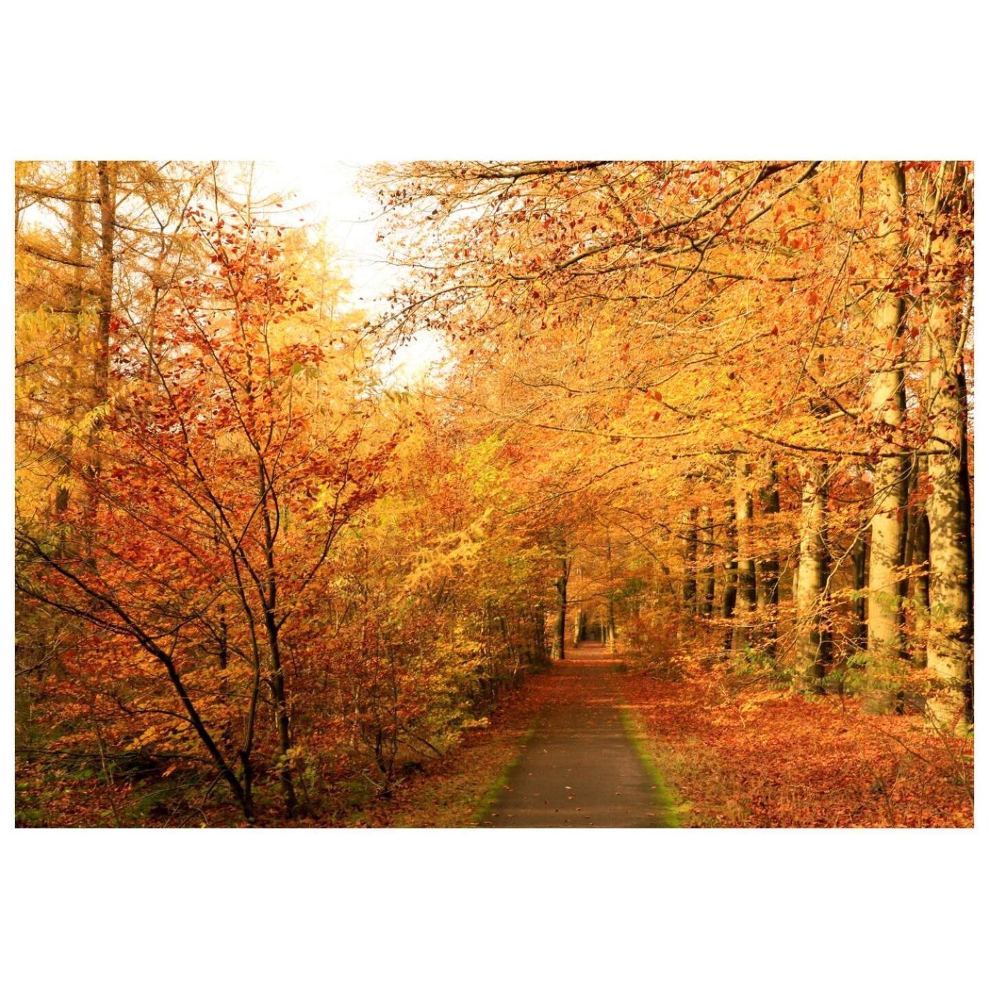 Charmante Woning Op Rustig Park Met Fietsen Эпе Экстерьер фото